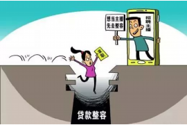 西秀专业讨债公司有哪些核心服务？